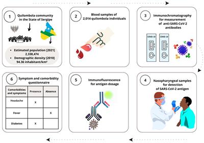 A higher number of SARS-COV-2 infections in quilombola communities than in the local population in Brazil